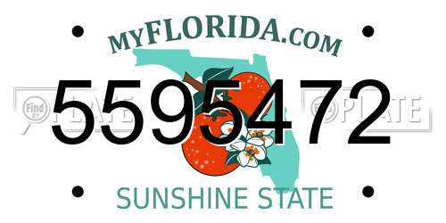 5595472 Florida License Plate