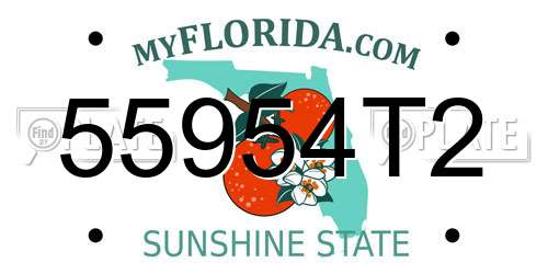 55954T2 Florida License Plate