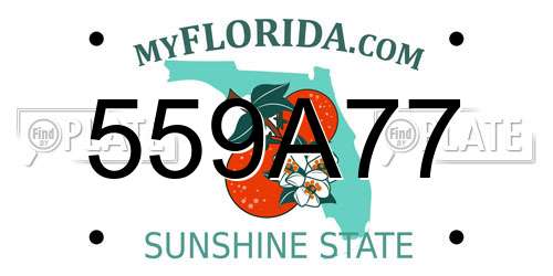 559A77 Florida License Plate
