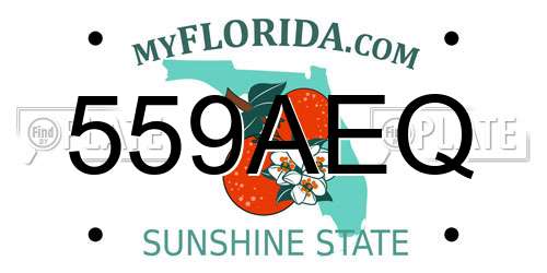 559AEQ Florida License Plate