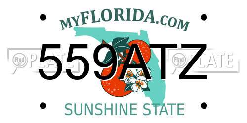 559ATZ Florida License Plate
