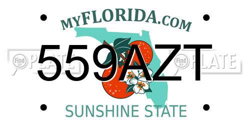 559AZT Florida License Plate