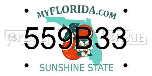 559B33 Florida License Plate