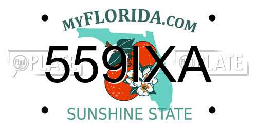 559IXA Florida License Plate