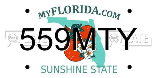 559MTY Florida License Plate