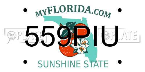 559PIU Florida License Plate