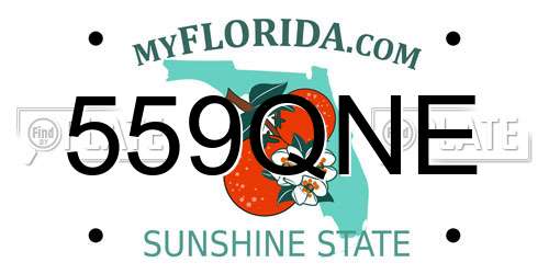 559QNE Florida License Plate