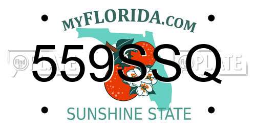 559SSQ Florida License Plate