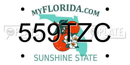 559TZC Florida License Plate