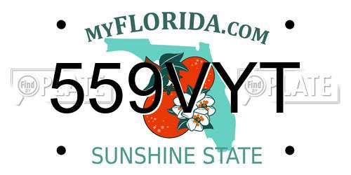 559VYT Florida License Plate