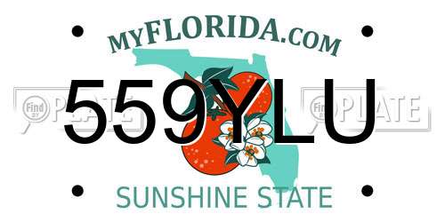 559YLU Florida License Plate