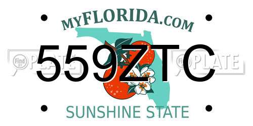 559ZTC Florida License Plate