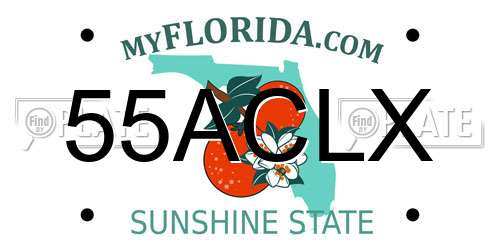 55ACLX Florida License Plate