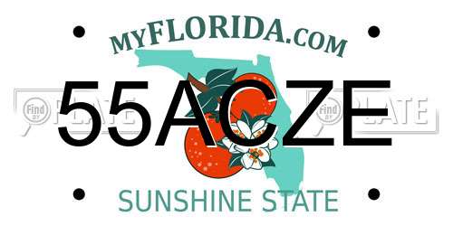 55ACZE Florida License Plate