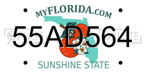 55AD564 Florida License Plate