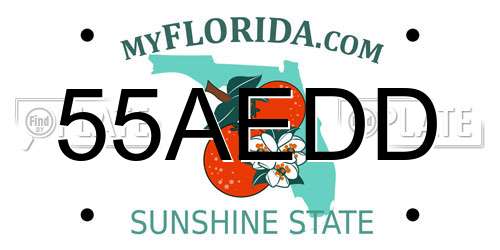 55AEDD Florida License Plate