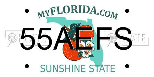 55AEFS Florida License Plate