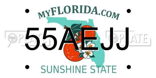 55AEJJ Florida License Plate