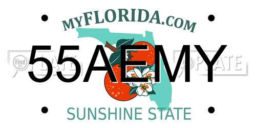 55AEMY Florida License Plate
