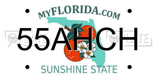 55AHCH Florida License Plate