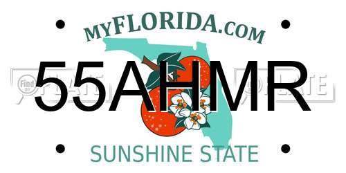 55AHMR Florida License Plate