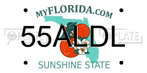 55ALDL Florida License Plate