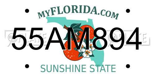55AM894 Florida License Plate