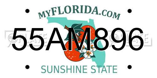 55AM896 Florida License Plate