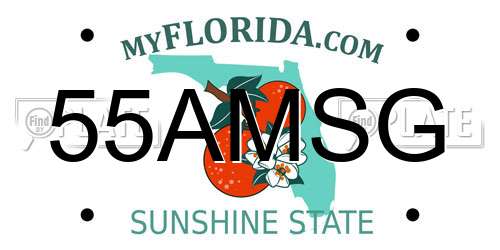 55AMSG Florida License Plate