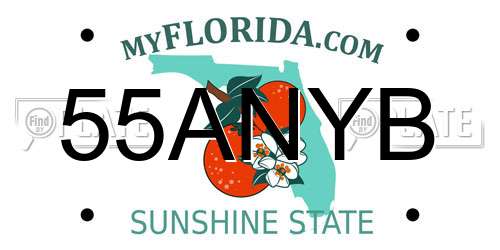 55ANYB Florida License Plate