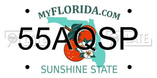 55AQSP Florida License Plate