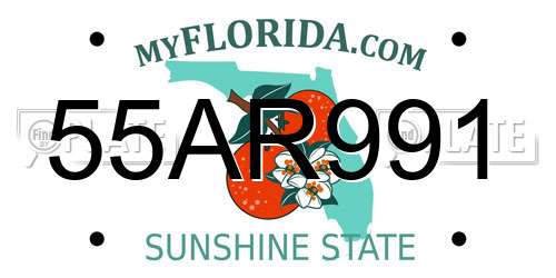 55AR991 Florida License Plate