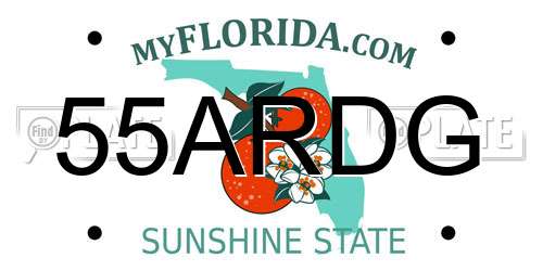 55ARDG Florida License Plate