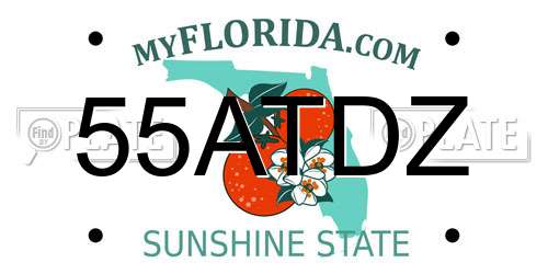 55ATDZ Florida License Plate