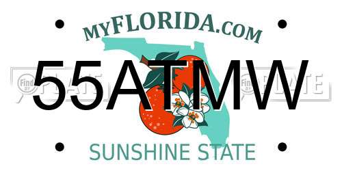 55ATMW Florida License Plate