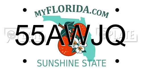 55AWJQ Florida License Plate