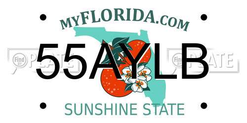 55AYLB Florida License Plate