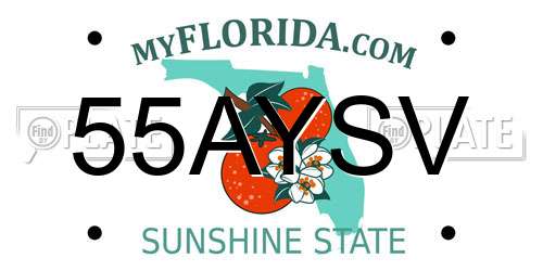 55AYSV Florida License Plate