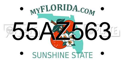 55AZ563 Florida License Plate