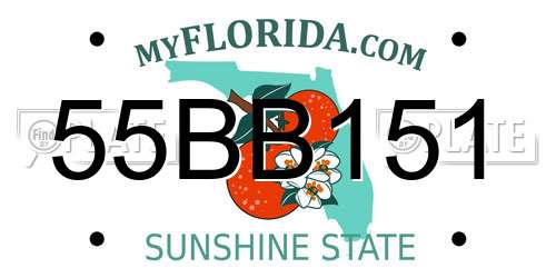 55BB151 Florida License Plate
