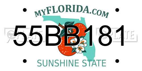 55BB181 Florida License Plate