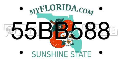 55BB588 Florida License Plate