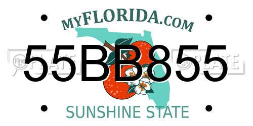 55BB855 Florida License Plate