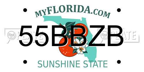 55BBZB Florida License Plate