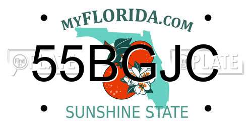 55BGJC Florida License Plate