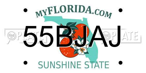 55BJAJ Florida License Plate