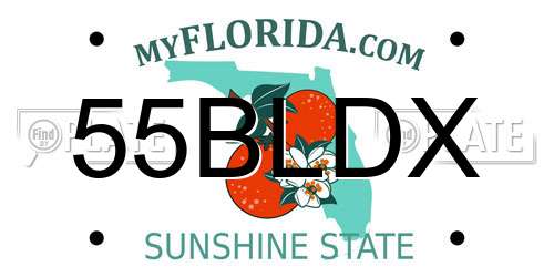 55BLDX Florida License Plate