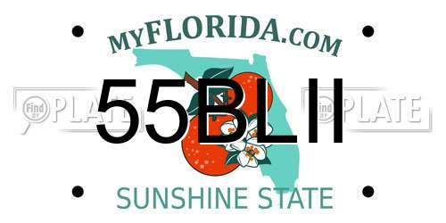 55BLII Florida License Plate