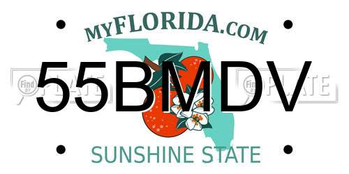 55BMDV Florida License Plate
