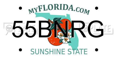 55BNRG Florida License Plate